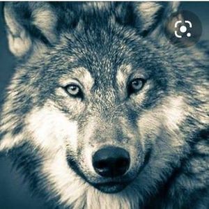 Meet your Posher, Elias